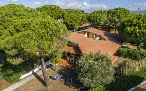 Argentario Giannella Apartment- Orbetello, Toscana: Wolke, Pflanze, Eigentum, Gebäude, Himmel, Pflanzengemeinschaft, Baum, Fenster, Vegetation, Die Architektur