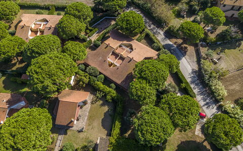 Argentario Giannella Apartment- Orbetello, Toscana: Pflanze, Eigentum, Natur, Grundstueck, Vegetation, Gras, Urban Design, Nachbarschaft, Wohngebiet, Strauch