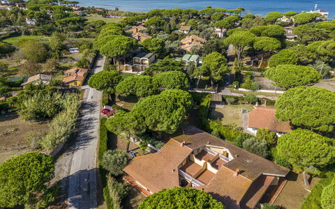 Argentario Giannella Apartment- Orbetello, Toscana: Pflanze, Wasser, Vegetation, Baum, Grundstueck, Urban Design, Biome, Gras, Natürliche Landschaft, Nachbarschaft