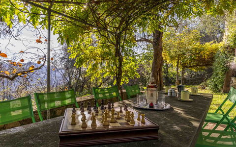 La Casa Dei Limoni, Camaiore, Pet Friendly, Wifi: Pflanze, Tabelle, Schatten, Baum, Sonnenlicht, Natürliche Landschaft, Stuhl, Landschaft, Freizeit, Gartenmöbel