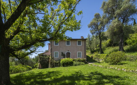La Casa Dei Limoni, Camaiore, Pet Friendly, Wifi: Baum, Gras, Blatt, Natur, Vegetation, Strauch, Haus, Ländliches Gebiet, Landschaft