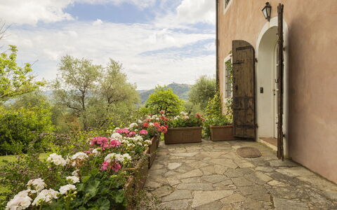 La Casa Dei Limoni, Camaiore, Pet Friendly, Wifi: Strauch, Pflanzengemeinschaft, Garten, Blumentopf, Zimmerpflanze, Flagstone
