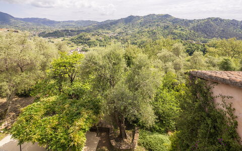 La Casa Dei Limoni, Camaiore, Pet Friendly, Wifi: Baum, Natur, Blatt, Natürlichen Umgebung, Vegetation, Hügel, Ländliches Gebiet, Pflanzengemeinschaft, Frühling, Bergstation