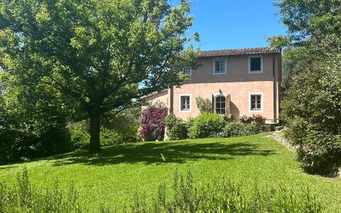 La Casa Dei Limoni, Camaiore, Pet Friendly, Wifi: Pflanze, Himmel, Daytime, Eigentum, Fenster, Gebäude, Natürliche Landschaft, Baum, Vegetation, Grundstueck