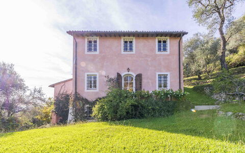 La Casa Dei Limoni, Camaiore, Pet Friendly, Wifi: Vegetation, Strauch, Haus, Ländliches Gebiet, Pflanzengemeinschaft, Hütte, Zuhause, Frühling, Ground, Garten