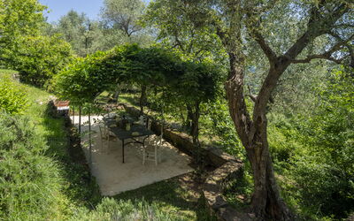 La Casa dei Limoni, Camaiore, Pet Friendly, Wifi - Camaiore, Toskana, Italien