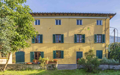 Casale Il Farro - Camaiore, Toscana: Pflanze, Gebäude, Fenster, Himmel, Baum, Grundstueck, Haus, Gras, Hütte, Wohngebiet