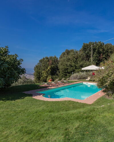 Villa Belvedere: Himmel, Pflanze, Wasser, Natürliche Landschaft, Baum, Grundstueck, Schwimmbad, Schatten, Gras, Landschaft