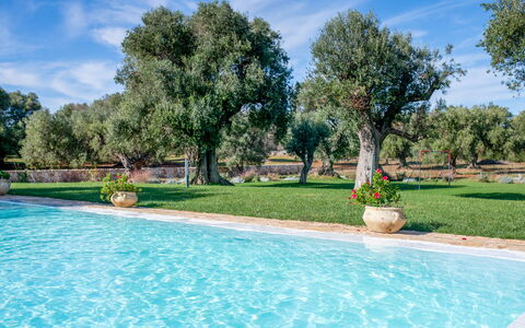 Tenuta Palù: Wasser, Himmel, Pflanze, Wolke, Baum, Botanik, Schwimmbad, Natürliche Landschaft, Gras, Schatten