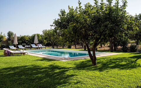 Casa Colore - Siracusa, Sicilia: Pflanze, Himmel, Wasser, Gebäude, Baum, Schwimmbad, Schatten, Natürliche Landschaft, Freizeit, Gras
