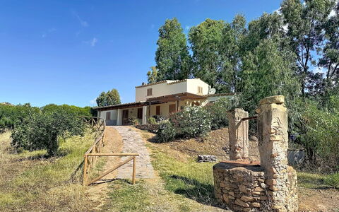 Eucalipto: Baum, Ländliches Gebiet, Grundstueck, Hütte, Estate, Bauernhaus, Hinterhof, Hazienda, Villa