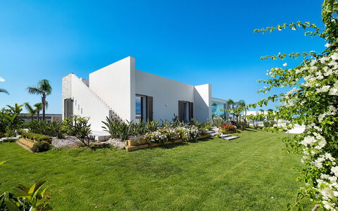 Casa Biancoverde - Marsala, Sicilia: Pflanze, Himmel, Gebäude, Baum, Natürliche Landschaft, Grundstueck, Gras, Urban Design, Grundeigentum, Haus