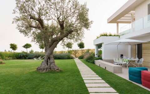 Splendida - Modica, Sicilia: Pflanze, Himmel, Grün, Gebäude, Baum, Grundstueck, Schatten, Urban Design, Gras, Haus