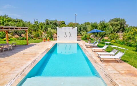 Villa Del Capitolo Con Trullo: Wasser, Pflanze, Himmel, Schwimmbad, Azurblau, Baum, Gartenmöbel, Schatten, Freizeit, Grundeigentum