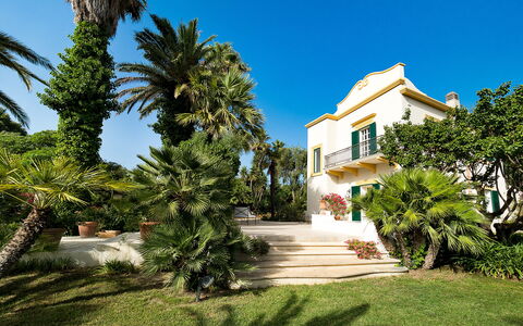 Casa Fiore - Salemi, Sicilia: Himmel, Pflanze, Gebäude, Baum, Fenster, Arecales, Wohngebiet, Landschaft, Fassade, Urban Design