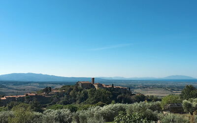 Casale Marittimo 305
