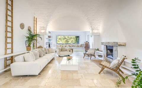 Masseriola Di Puglia: Couch, Pflanze, Möbel, Zimmerpflanze, Interior Design, Fussboden, Wohnzimmer, Tabelle, Bilderrahmen, Studio Couch