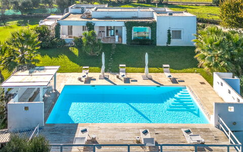 Masseriola Di Puglia: Pflanze, Gebäude, Fenster, Grün, Azurblau, Schwimmbad, Wasser, Die Architektur, Schatten, Baum