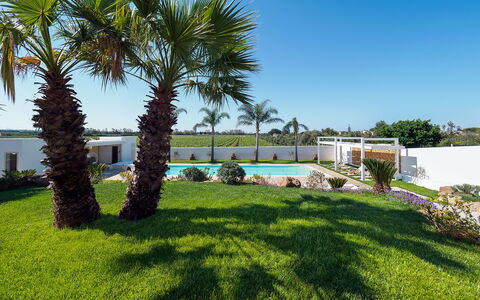 Casa Ocra - Misiliscemi, Sicilia: Himmel, Pflanze, Baum, Grundstueck, Vegetation, Arecales, Schatten, Terrestrische Plant, Landschaft, Gras
