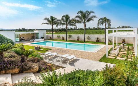 Casa Ocra - Misiliscemi, Sicilia: Pflanze, Himmel, Wolke, Wasser, Eigentum, Baum, Azurblau, Schwimmbad, Schatten, Die Architektur