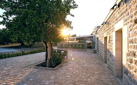 Casa Masseria - Scicli, Sicilia: Pflanze, Himmel, Gebäude, Strassenbelag, Baum, Flooring, Asphalt, Gras, Landschaft, Strasse