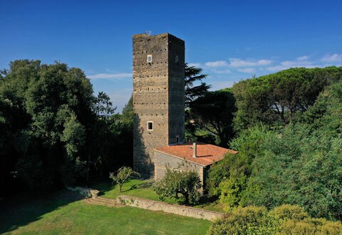 Torre Delle Cornacchie: Himmel, Pflanze, Wolke, Baum, Gebäude, Turm, Natürliche Landschaft, Gras, Landschaft, Strauch