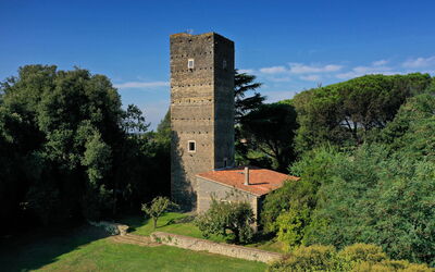 Torre Delle Cornacchie: Himmel, Pflanze, Wolke, Baum, Gebäude, Turm, Natürliche Landschaft, Gras, Landschaft, Strauch