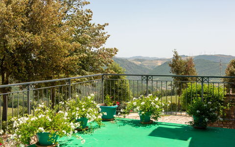 Villa Trivigno: Grün, Frühling, Blumentopf, Garten, Stuhl, Zaun, Schatten, Balkon, Gartenmöbel, Zimmerpflanze