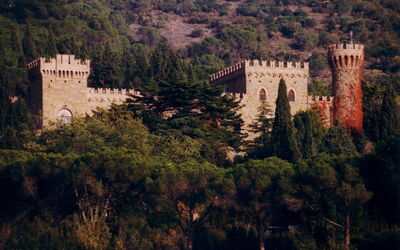 Palazzo Trasimeno: Pflanze, Natürliche Landschaft, Gebäude, Baum, Vegetation, Landschaft, Stadt, Schloss, Hügel, Mittelalterliche Architektur