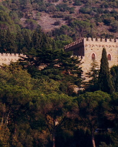 Palazzo Trasimeno: Pflanze, Natürliche Landschaft, Gebäude, Baum, Vegetation, Landschaft, Stadt, Schloss, Hügel, Mittelalterliche Architektur