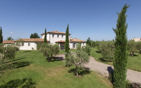 Villa Sant'andrea: Himmel, Pflanze, Fenster, Gebäude, Baum, Grundstueck, Haus, Natürliche Landschaft, Wohngebiet, Gras