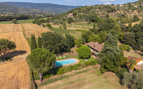 Villa Marconi: Pflanze, Wolke, Pflanzengemeinschaft, Himmel, Ökoregion, Natürliche Landschaft, Natürlichen Umgebung, Baum, Vegetation, Grundstueck