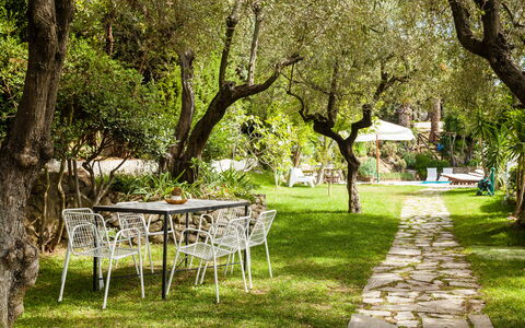 Villa Il Sole Di Sorrento: Pflanze, Möbel, Tabelle, Baum, Ast, Natürliche Landschaft, Schatten, Stuhl, Gras, Gartenmöbel