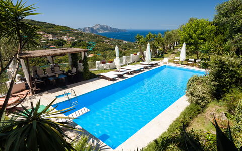 Villa Il Sole Di Sorrento: Wasser, Pflanze, Himmel, Eigentum, Schwimmbad, Azurblau, Baum, Botanik, Vegetation, Arecales