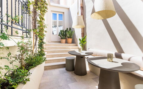 Alma Suite: Pflanze, Eigentum, Tabelle, Holz, Fenster, Flooring, Fussboden, Gebäude, Wand, Grundeigentum