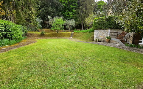 La Piccola Rocca: Pflanze, Eigentum, Grün, Baum, Natürliche Landschaft, Grundstueck, Gras, Vegetation, Strauch, Landschaft