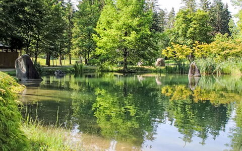 Carli: Wasser, Gewässer, Baum, Wasservorräte, Grün, Natur, Natürlichen Umgebung, Natürliche Landschaft, Wasserlauf, Reflexion