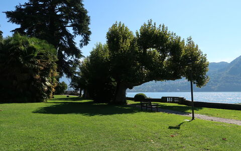 Regina 29: Gras, Natürliche Landschaft, Landschaft, Rasen, Außenbank, Kofferraum, Garten, See, Park