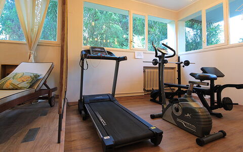 Catullo 18 Apartment, Garda Lake, Jacuzzi, Fitness: Eigentum, Trainingsgerät, Fenster, Holz, Interior Design, Fussboden, Flooring, Hartholz, Trainingsgeräte