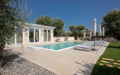 Terra Mater: Schwimmbad, Wohngebiet, Verbundwerkstoff, Estate, Gartenmöbel, Schatten, Villa, Resort, Landscaping, Hazienda