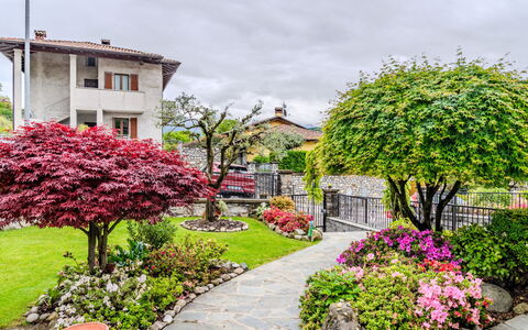 Nonna Grazia: Blume, Pflanze, Himmel, Gebäude, Wolke, Fenster, Strassenlicht, Botanik, Haus, Gras
