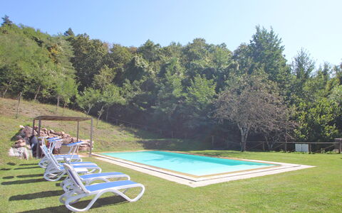 Casetta Verde: Pflanze, Himmel, Schwimmbad, Gartenmöbel, Schatten, Grundstueck, Stuhl, Baum, Landschaft, Gras