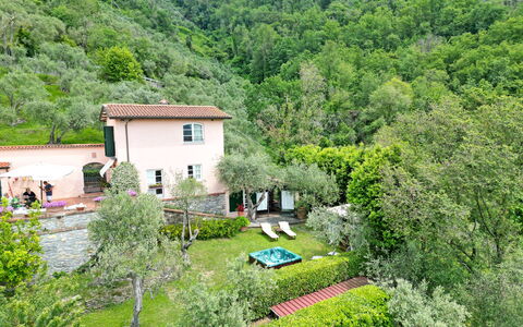 Villetta Verde: Pflanze, Pflanzengemeinschaft, Baum, Natürliche Landschaft, Gebäude, Haus, Vegetation, Fenster, Grundstueck, Hütte