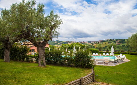 Villa Angelica: Wolke, Himmel, Pflanze, Natur, Natürliche Landschaft, Baum, Vegetation, Grundstueck, Gras, Landschaft
