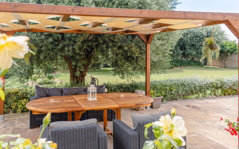 Cyca Holiday Home: Pflanze, Blume, Tabelle, Eigentum, Möbel, Botanik, Tisch Im Freien, Schatten, Gartenmöbel, Gelb