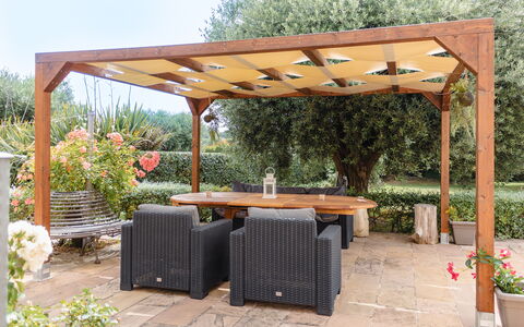 Cyca Holiday Home: Pflanze, Eigentum, Möbel, Schatten, Tabelle, Tisch Im Freien, Gartenmöbel, Blumentopf, Himmel, Baum