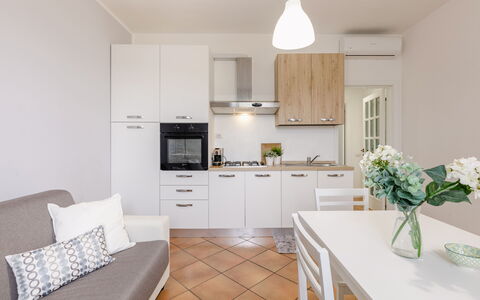 Cyca Holiday Home: Möbel, Blume, Cabinetry, Eigentum, Countertop, Pflanze, Interior Design, Couch, Herd