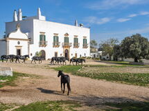 Masseria Tagliente