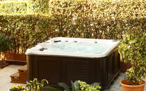 Villa Paradiso: Pflanze, Eigentum, Pflanzengemeinschaft, Blumentopf, Gelb, Vegetation, Rechteck, Gras, Landschaft, Strauch