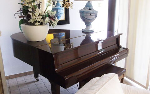 Villa Paradiso: Eigentum, Möbel, Pflanze, Weiss, Blumentopf, Interior Design, Holz, Komfort, Flooring, Fussboden